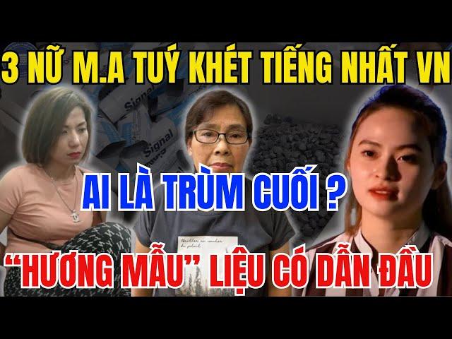 Top 3  Nữ Quái buôn M.a Túy  khét tiếng nhất Việt Nam   Hương Mẫu Đứng Thứ mấy ?