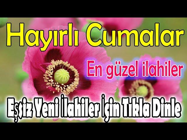 En Güzel İlahilerCuma Günü İlahileriKarışık İlahilerHuzur Veren Eşsiz İlahilerİlahi Dinle