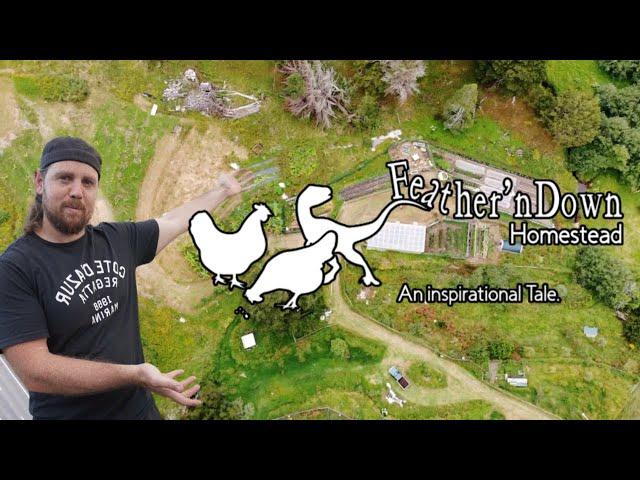 Welcome to Feather'nDown Homestead !  | A Sneak Peek