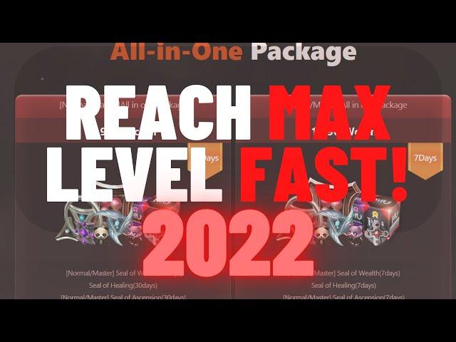 Global Mu Online: What is the FASTEST way to level? [2022]