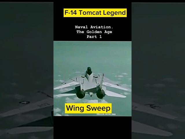 F14 Tomcat. A Legend. WingSweep. #f14 #topgun #wingsweep