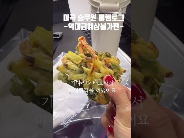 미국 역대급 한파 맞서는 #미국승무원 #외항사승무원 #승무원