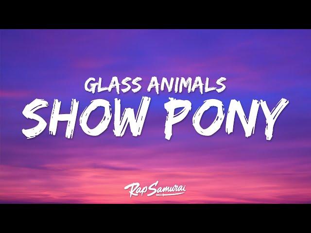 Glass Animals - Show Pony (Lyrics)