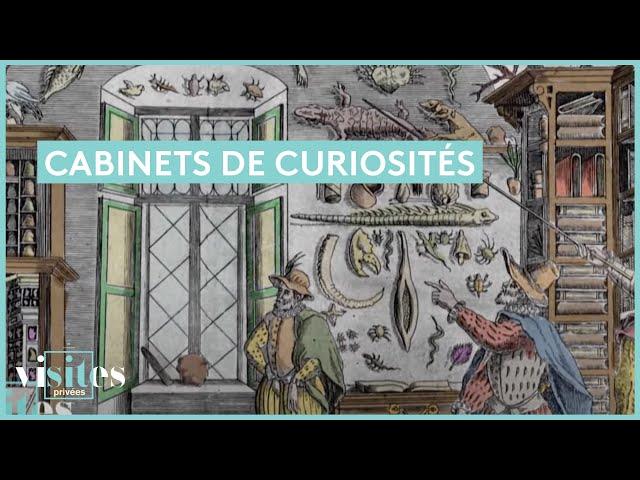 Cabinets de curiosités - Visites privées