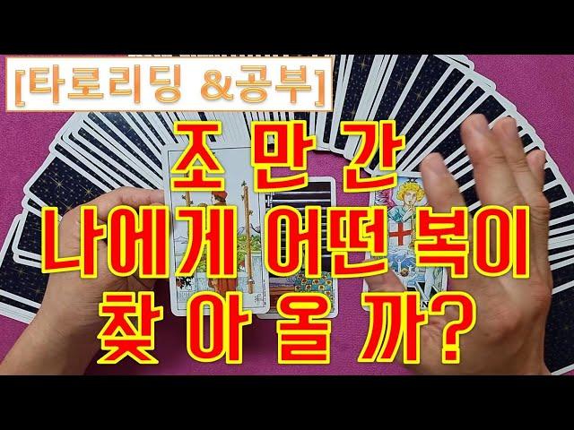 [타로리딩] 조만간 나에게 찾아올 '복'은 어떤 복일까요?  김규리 타로카드배우기 공부 상담 교육자료