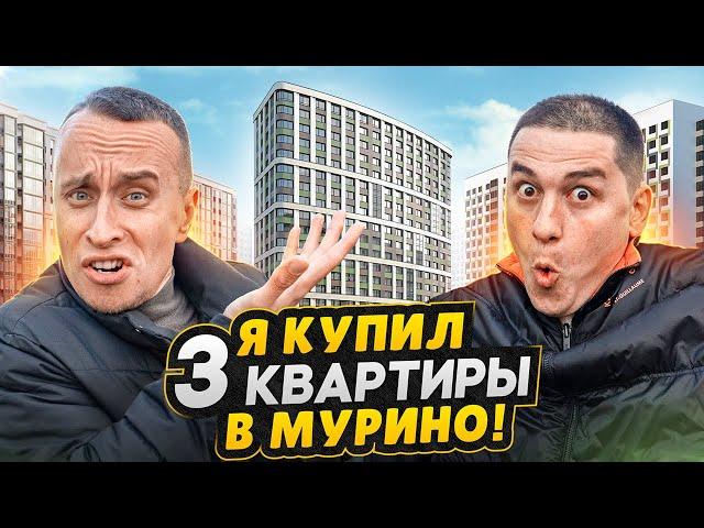 Купил 3 квартиры в Мурино СПБ / Сравнение и обзор: ЦДС, Мавис, Евроинвест