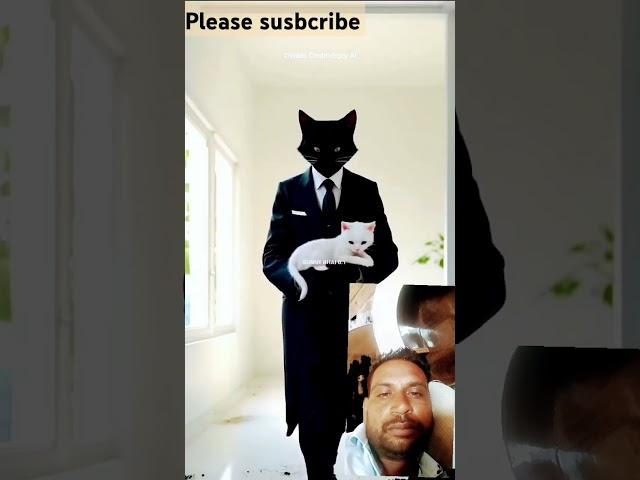 #cat #animation #funny #facts #trend #kitten #wtf