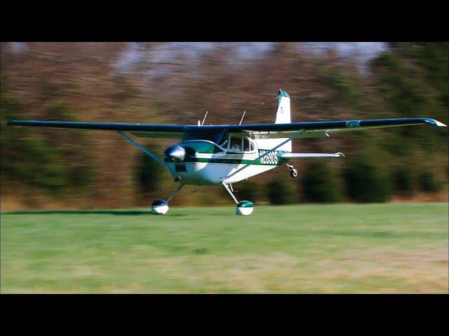 FlyingTV Dailies - Duncan Cameron