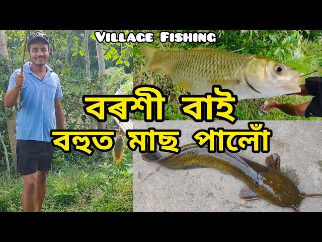 বৰশী বাই বহুত মাছ পালো // Village Fishing // Fish Catching @RINKUDASVLOGS