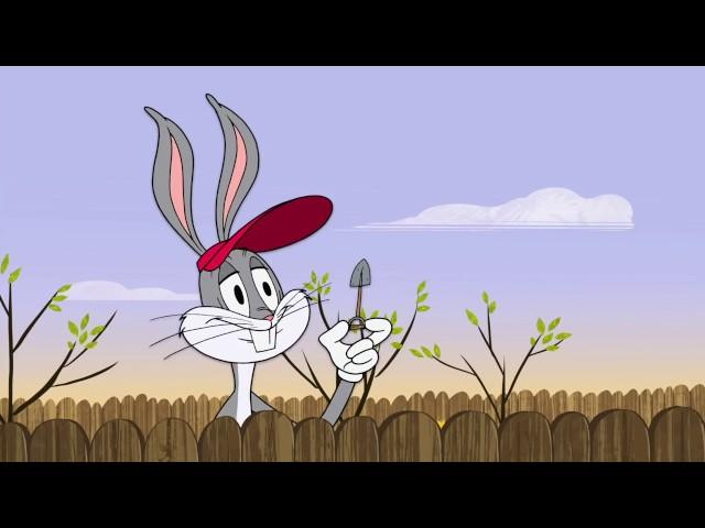 Garden Grow-Off I Wabbit I Boomerang Official