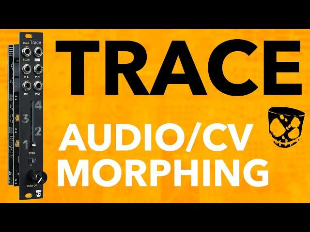 Waveform Scanning & Modulation Morphing // Trace by DivKid & Vostok Instruments