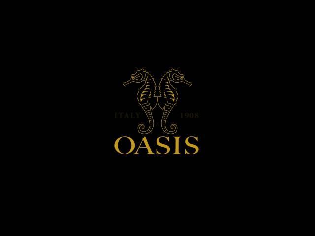 OASIS 2016 | A BRAND NEW VISION