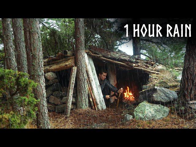 ️Camping in RELAXING RAIN: 1 Hour of Rain & Nature Sounds for Sleep and Calm