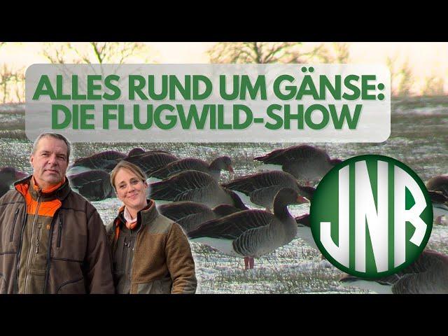 Flugwildshow in unserem Revier auf Rügen