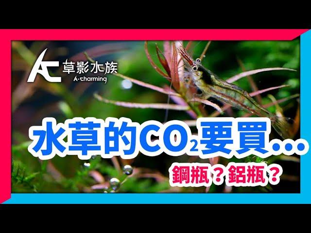 水草缸新手，怎麼買，怎麼裝最省錢？｜AC草影水族