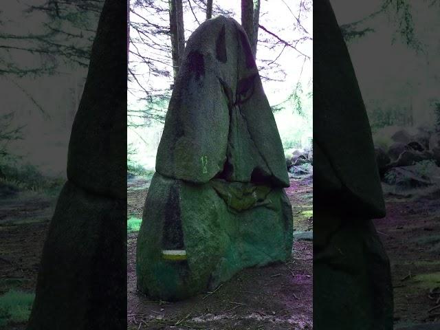 Süntelstein - Menhir in Vehrte - Oktober 2024 - Osnabrücker Land