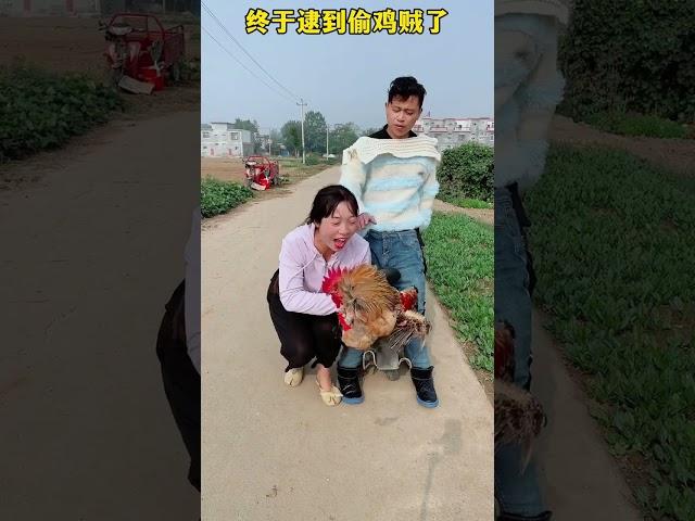 You are so brave that you dare to steal my chicken Mr. Zheng and Du Xiao