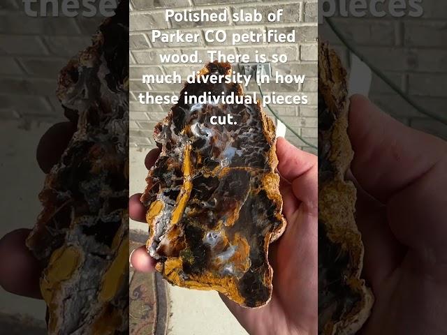 Polished slab of Parker CO petrified wood using a vibrating lap.