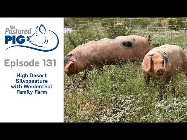 High Desert Silvopasture with Weidenthal Family Farm (Episode 131 - Pastured Pig Podcast)