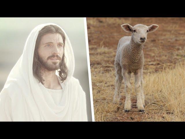 Jesus Christ, the Passover Lamb