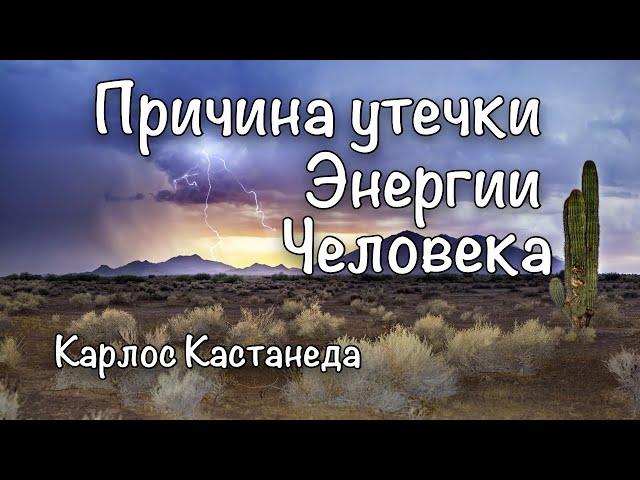 Чувство собственной важности. Диалог дона Хуана и Карлоса Кастанеды.