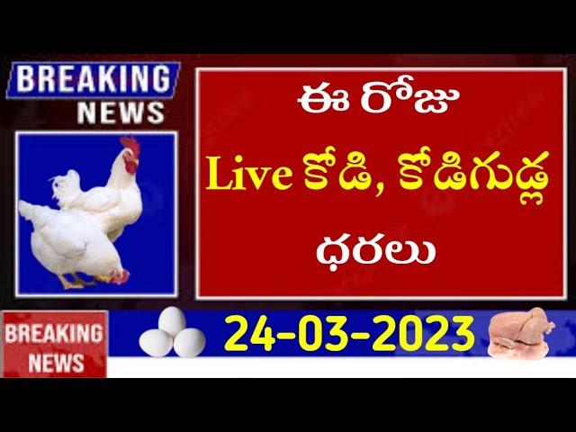 Today Chicken, Eggs Rate In AP and TELANGANA |Chicken rate today|Egg rate today