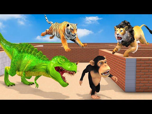 Temple Run Funny Monkey Run Away From Tiger, Lion, Dinosaur | Farm Animals Vs Wild Animls Fight