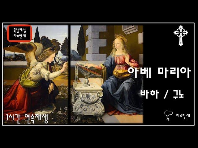 [1시간] 아베 마리아 Ave Maria (Bach/Gounod) 바하/구노 Organ/Violin Cover | Extended