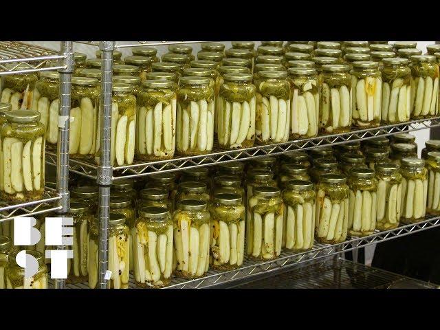 Do Not Miss Behinds the Scenes of The Real Dill Pickle Factory | Best Products