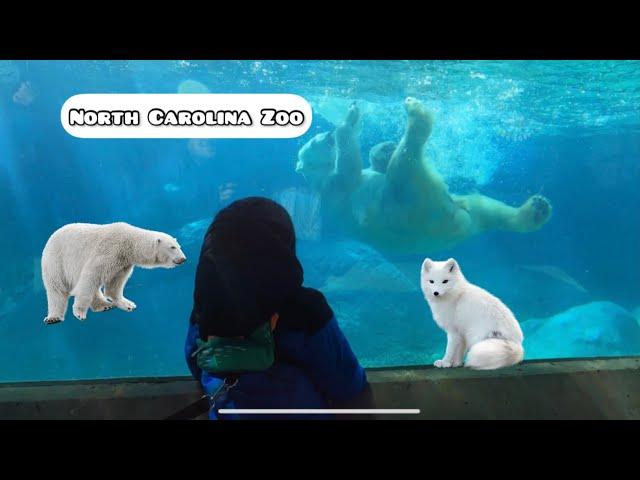 Explore the Wonders of the North Carolina Zoo – A Wildlife Adventure!