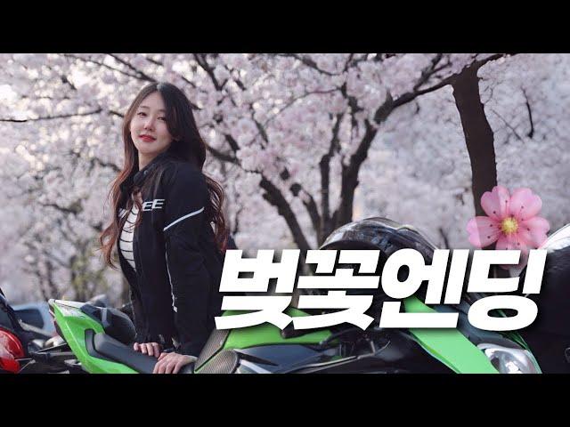 6월의 벚꽃 라이딩 같이 가실 분 ! | KAWASAKI ZX-6R | 오토바이 브이로그