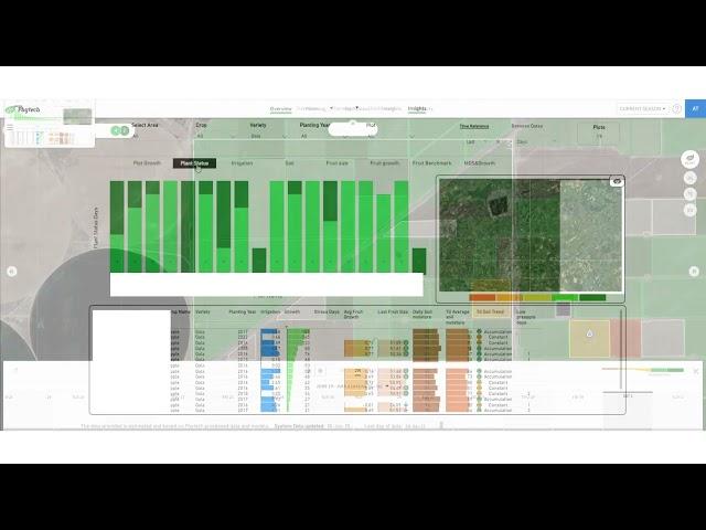 Phytech Insights - The Plant Performance Report