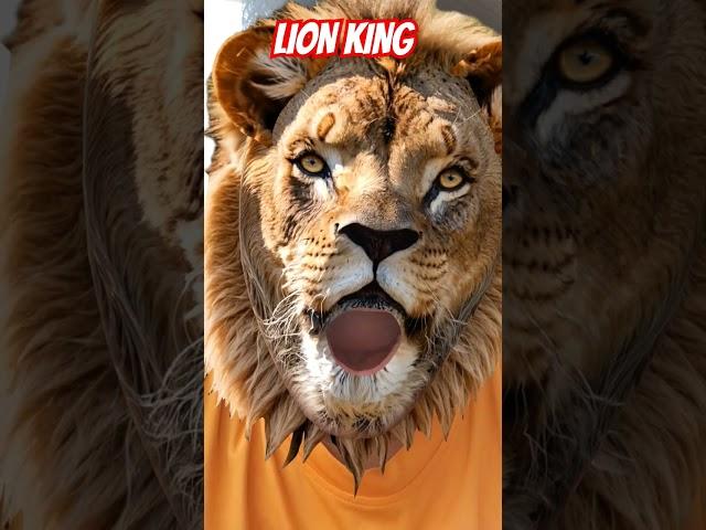 STR SUPER FAST GJ 36 LION KING
