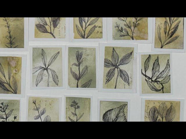 How to make mini botanical sketches for your journals.