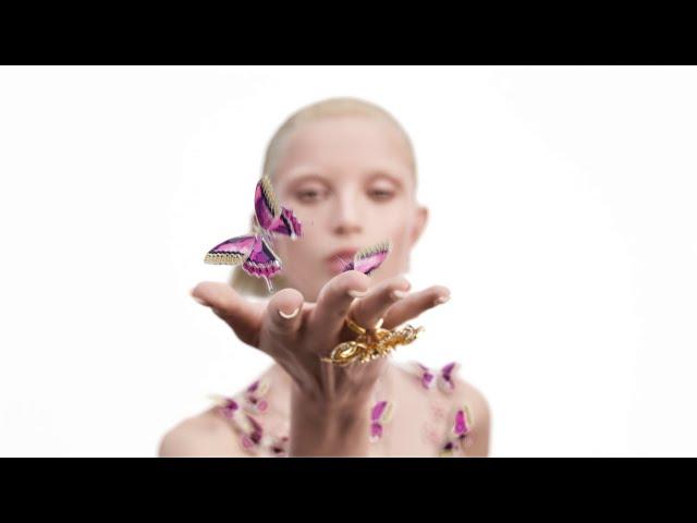 Swarovski | Crystal Metamorphosis