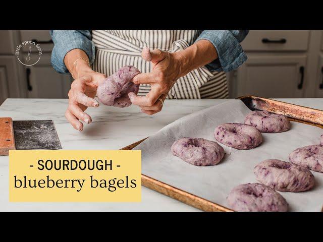 The BEST and EASIEST Sourdough Blueberry Bagels | Little Spoon Farm