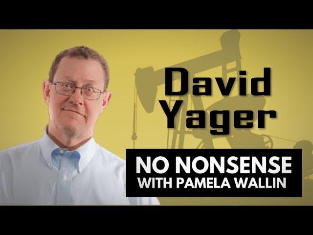 The Energy Crisis with David Yager | No Nonsense with Pamela Wallin
