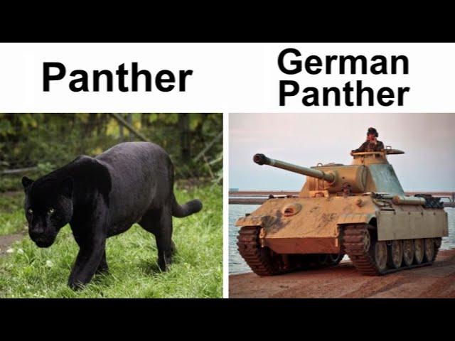 TANK MEMES