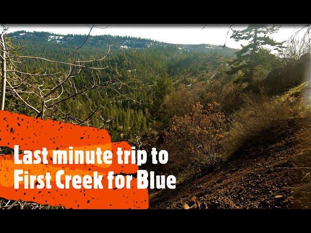 First Creek:  Jasper, Timber Tigers, and the Blue Deception...