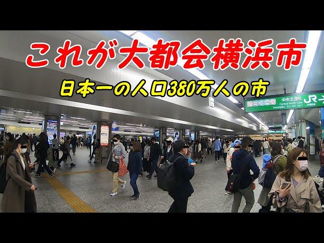 大都会横浜駅周辺を散策！(Japan Walking around Yokohama Station)