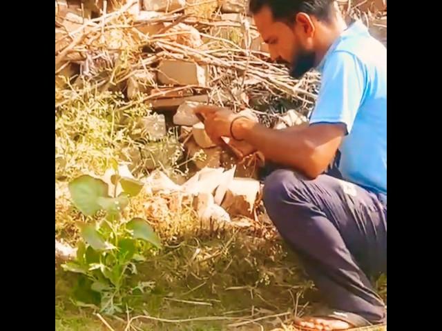   Nature Farming views  #song #farmer #trending #villagelife #bintupabra