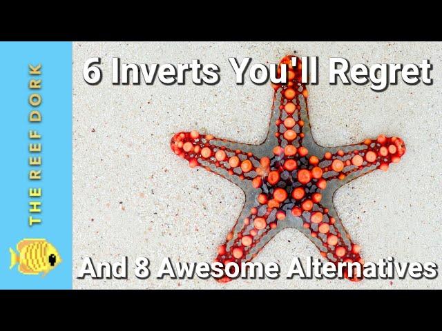 Top 6 Inverts You'll Regret (And 8 Awesome Alternatives)