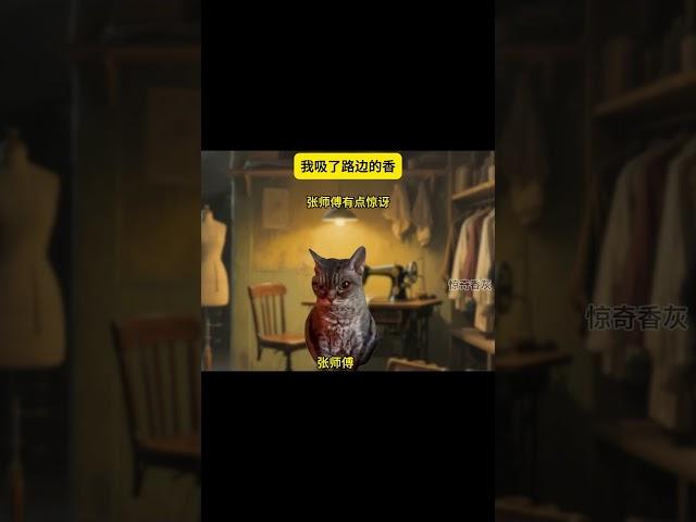 第10集 |我吸了路边的香...#catmemes #cat #小说 #故事 #短剧 #story #悬疑 #推文 #一口气看完 #复仇 #反转 #已完结 #情感 #玄幻 #鬼故事 #民间故事 #搞笑