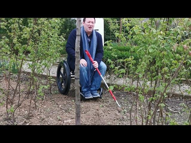 Mark shows the easiest way to remove weeds