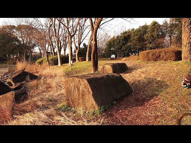 20200202 DAYBREAK TRIAL