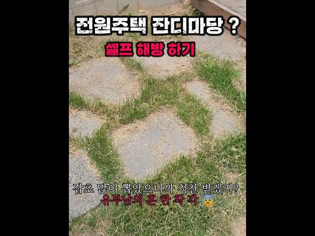 전원주택 잡초지옥 셀프 해방 영상 #인생강화 #단독주택 #가족일상