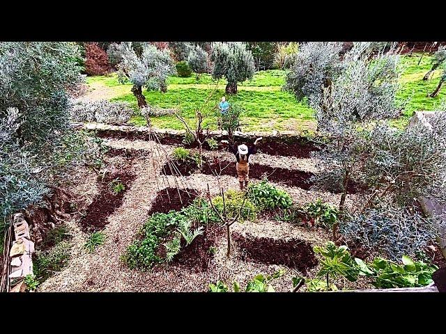 TRANSFORMING the Vegetable Garden