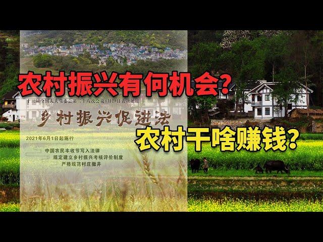 中国未来农村什么生意赚钱？农村振兴中什么会是下一个风口呢？