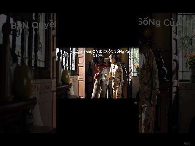 Bài học của bà cho capy làm gì cũng phải có 2 lựa chọn  #cuocsongcuacapy