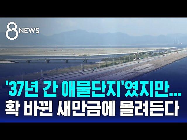 '37년 간 애물단지'였지만…확 바뀐 새만금에 몰려든다 / SBS 8뉴스